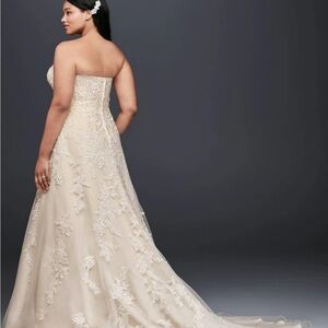David's Bridal Ivory Champagne Gown